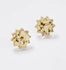 Star Studs