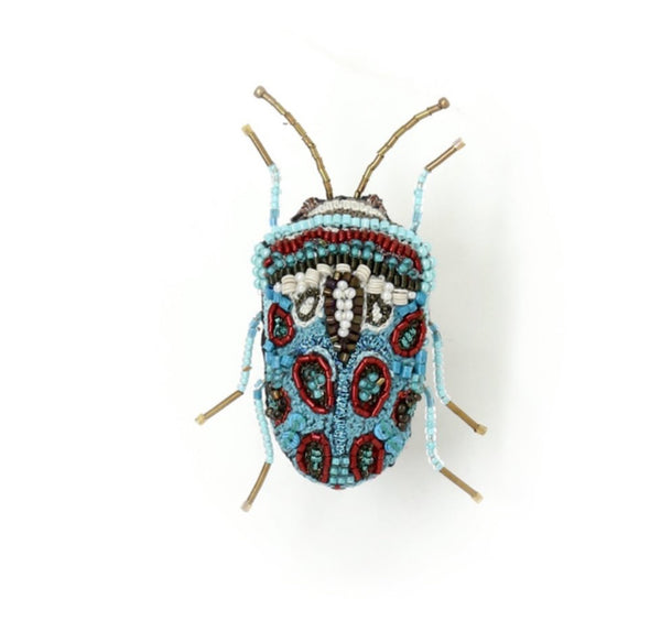 Picasso Bug